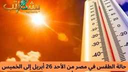 أخبار