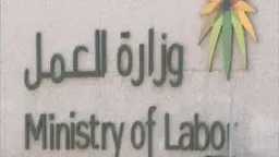 العرب