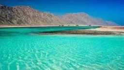 منوعات