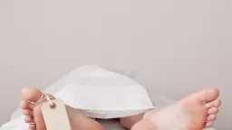أخبار