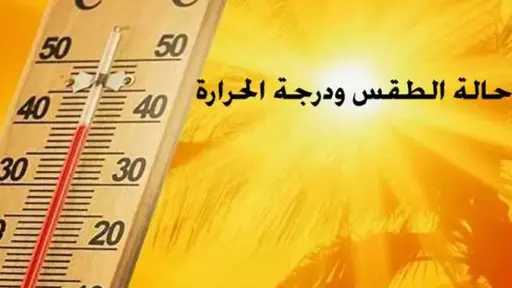 أخبار