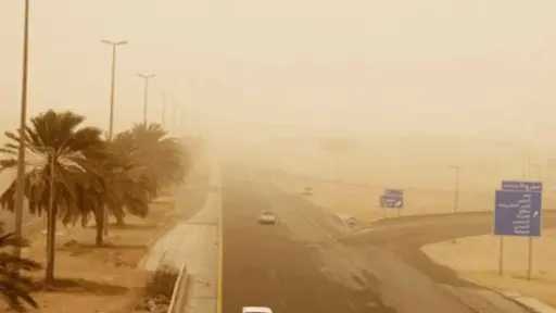 أخبار