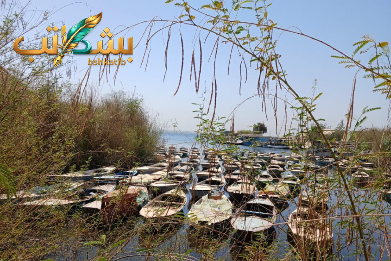 بحيرة ناصر- صيادو بحيرة ناصر- رخص الصيد- موسم الصيد- شركة مصر أسوان- هيئة الثروة السمكية- أزمة الصيادين- الثروة السمكية في مصر-