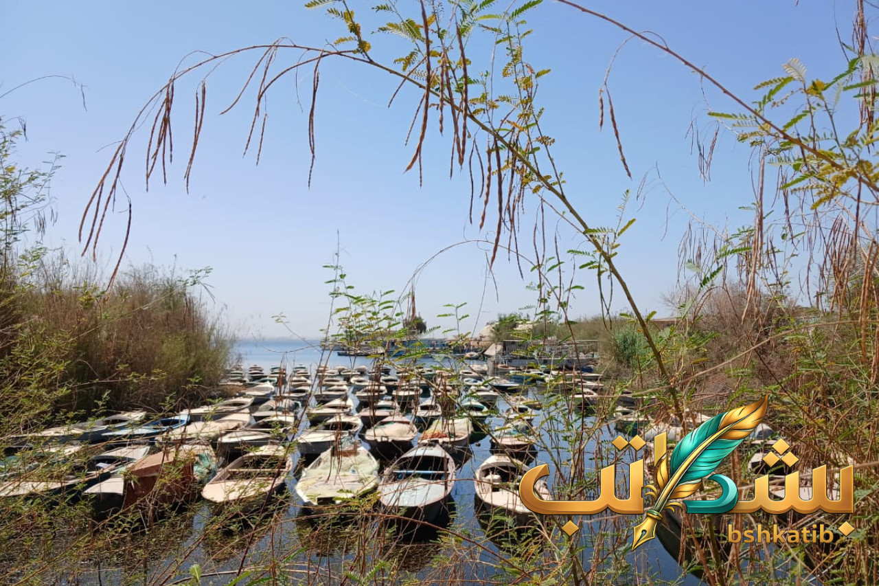 بحيرة ناصر- صيادو بحيرة ناصر- رخص الصيد- موسم الصيد- شركة مصر أسوان- هيئة الثروة السمكية- أزمة الصيادين- الثروة السمكية في مصر-